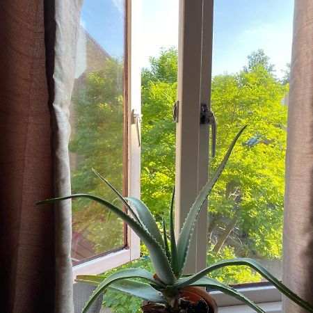 Cozy Private Room For Single Use Лондон Екстер'єр фото